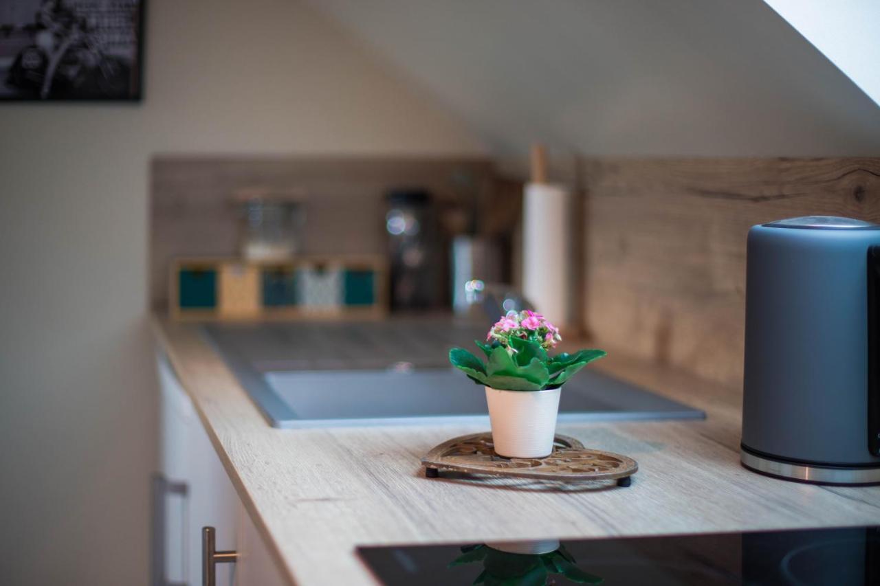 Bed and Breakfast La Maison D'Elise Dollon Экстерьер фото